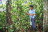 ( - BioBot11133)  @11 [ ] CreativeCommons - Attribution Non-Commercial Share-Alike (2010) Daniel H. Janzen Guanacaste Dry Forest Conservation Fund