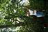  ( - BioBot11175)  @11 [ ] CreativeCommons - Attribution Non-Commercial Share-Alike (2010) Daniel H. Janzen Guanacaste Dry Forest Conservation Fund