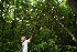  ( - BioBot11185)  @11 [ ] CreativeCommons - Attribution Non-Commercial Share-Alike (2010) Daniel H. Janzen Guanacaste Dry Forest Conservation Fund