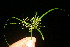  ( - BioBot11211)  @11 [ ] CreativeCommons - Attribution Non-Commercial Share-Alike (2010) Daniel H. Janzen Guanacaste Dry Forest Conservation Fund