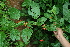  ( - BioBot11318)  @11 [ ] CreativeCommons - Attribution Non-Commercial Share-Alike (2010) Daniel H. Janzen Guanacaste Dry Forest Conservation Fund