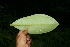  ( - BioBot11323)  @11 [ ] CreativeCommons - Attribution Non-Commercial Share-Alike (2010) Daniel H. Janzen Guanacaste Dry Forest Conservation Fund
