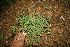 ( - BioBot11341)  @11 [ ] CreativeCommons - Attribution Non-Commercial Share-Alike (2010) Daniel H. Janzen Guanacaste Dry Forest Conservation Fund