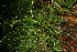  ( - BioBot11355)  @11 [ ] CreativeCommons - Attribution Non-Commercial Share-Alike (2010) Daniel H. Janzen Guanacaste Dry Forest Conservation Fund