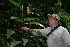  (Calathea lasiostachya - BioBot11363)  @11 [ ] CreativeCommons - Attribution Non-Commercial Share-Alike (2010) Daniel H. Janzen Guanacaste Dry Forest Conservation Fund