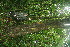  ( - BioBot11374)  @11 [ ] CreativeCommons - Attribution Non-Commercial Share-Alike (2010) Daniel H. Janzen Guanacaste Dry Forest Conservation Fund