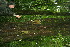  ( - BioBot11374)  @11 [ ] CreativeCommons - Attribution Non-Commercial Share-Alike (2010) Daniel H. Janzen Guanacaste Dry Forest Conservation Fund