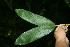  ( - BioBot11376)  @11 [ ] CreativeCommons - Attribution Non-Commercial Share-Alike (2010) Daniel H. Janzen Guanacaste Dry Forest Conservation Fund