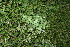  ( - BioBot11505)  @11 [ ] CreativeCommons - Attribution Non-Commercial Share-Alike (2010) Daniel H. Janzen Guanacaste Dry Forest Conservation Fund