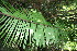  ( - BioBot11556)  @11 [ ] CreativeCommons - Attribution Non-Commercial Share-Alike (2010) Daniel H. Janzen Guanacaste Dry Forest Conservation Fund