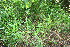  ( - BioBot11590)  @11 [ ] CreativeCommons - Attribution Non-Commercial Share-Alike (2010) Daniel H. Janzen Guanacaste Dry Forest Conservation Fund