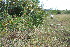  ( - BioBot11600)  @11 [ ] CreativeCommons - Attribution Non-Commercial Share-Alike (2010) Daniel H. Janzen Guanacaste Dry Forest Conservation Fund