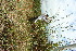  ( - BioBot11614)  @11 [ ] CreativeCommons - Attribution Non-Commercial Share-Alike (2010) Daniel H. Janzen Guanacaste Dry Forest Conservation Fund