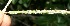  ( - BioBot11614)  @11 [ ] CreativeCommons - Attribution Non-Commercial Share-Alike (2010) Daniel H. Janzen Guanacaste Dry Forest Conservation Fund