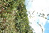  ( - BioBot11616)  @11 [ ] CreativeCommons - Attribution Non-Commercial Share-Alike (2010) Daniel H. Janzen Guanacaste Dry Forest Conservation Fund