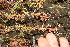  ( - BioBot11621)  @11 [ ] CreativeCommons - Attribution Non-Commercial Share-Alike (2010) Daniel H. Janzen Guanacaste Dry Forest Conservation Fund