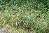  ( - BioBot11673)  @11 [ ] CreativeCommons - Attribution Non-Commercial Share-Alike (2010) Daniel H. Janzen Guanacaste Dry Forest Conservation Fund