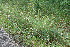  ( - BioBot11674)  @11 [ ] CreativeCommons - Attribution Non-Commercial Share-Alike (2010) Daniel H. Janzen Guanacaste Dry Forest Conservation Fund