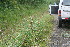  ( - BioBot11675)  @11 [ ] CreativeCommons - Attribution Non-Commercial Share-Alike (2010) Daniel H. Janzen Guanacaste Dry Forest Conservation Fund