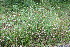  ( - BioBot11675)  @11 [ ] CreativeCommons - Attribution Non-Commercial Share-Alike (2010) Daniel H. Janzen Guanacaste Dry Forest Conservation Fund