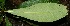  ( - BioBot11692)  @11 [ ] CreativeCommons - Attribution Non-Commercial Share-Alike (2010) Daniel H. Janzen Guanacaste Dry Forest Conservation Fund