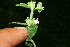  ( - BioBot11699)  @11 [ ] CreativeCommons - Attribution Non-Commercial Share-Alike (2010) Daniel H. Janzen Guanacaste Dry Forest Conservation Fund