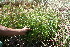  ( - BioBot11748)  @11 [ ] CreativeCommons - Attribution Non-Commercial Share-Alike (2010) Daniel H. Janzen Guanacaste Dry Forest Conservation Fund