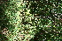  ( - BioBot11824)  @11 [ ] CreativeCommons - Attribution Non-Commercial Share-Alike (2010) Daniel H. Janzen Guanacaste Dry Forest Conservation Fund