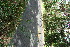  ( - BioBot11825)  @11 [ ] CreativeCommons - Attribution Non-Commercial Share-Alike (2010) Daniel H. Janzen Guanacaste Dry Forest Conservation Fund