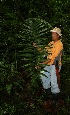  ( - BioBot12452)  @11 [ ] CreativeCommons - Attribution Non-Commercial Share-Alike (2010) Daniel H. Janzen Guanacaste Dry Forest Conservation Fund