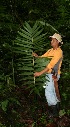  ( - BioBot12452)  @11 [ ] CreativeCommons - Attribution Non-Commercial Share-Alike (2010) Daniel H. Janzen Guanacaste Dry Forest Conservation Fund