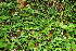  ( - BioBot12641)  @11 [ ] CreativeCommons - Attribution Non-Commercial Share-Alike (2010) Daniel H. Janzen Guanacaste Dry Forest Conservation Fund