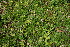 ( - BioBot12647)  @11 [ ] CreativeCommons - Attribution Non-Commercial Share-Alike (2010) Daniel H. Janzen Guanacaste Dry Forest Conservation Fund