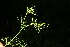  ( - BioBot12648)  @11 [ ] CreativeCommons - Attribution Non-Commercial Share-Alike (2010) Daniel H. Janzen Guanacaste Dry Forest Conservation Fund