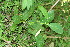 ( - BioBot12743)  @11 [ ] CreativeCommons - Attribution Non-Commercial Share-Alike (2010) Daniel H. Janzen Guanacaste Dry Forest Conservation Fund