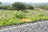  ( - BioBot12758)  @11 [ ] CreativeCommons - Attribution Non-Commercial Share-Alike (2010) Daniel H. Janzen Guanacaste Dry Forest Conservation Fund