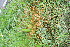  ( - BioBot12759)  @11 [ ] CreativeCommons - Attribution Non-Commercial Share-Alike (2010) Daniel H. Janzen Guanacaste Dry Forest Conservation Fund