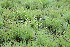  ( - BioBot12799)  @11 [ ] CreativeCommons - Attribution Non-Commercial Share-Alike (2010) Daniel H. Janzen Guanacaste Dry Forest Conservation Fund
