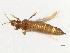  ( - 09PROBE-JM045)  @14 [ ] CreativeCommons - Attribution (2010) CBG Photography Group Centre for Biodiversity Genomics