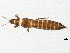  ( - 09PROBE-JM047)  @13 [ ] CreativeCommons - Attribution (2010) CBG Photography Group Centre for Biodiversity Genomics