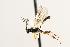  ( - CHU06-WSP-139)  @14 [ ] CC-0  Unspecified Unspecified