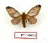  ( - BC-Fel0022)  @11 [ ] Unspecified (default): All Rights Reserved  Unspecified Unspecified