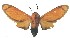  ( - BEVI1905)  @14 [ ] Unspecified (default): All Rights Reserved  Unspecified Unspecified