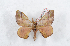  ( - Bc-Her5073)  @11 [ ] Unspecified (default): All Rights Reserved  Unspecified Unspecified