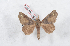  ( - Bc-Her5084)  @11 [ ] Unspecified (default): All Rights Reserved  Unspecified Unspecified