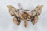  ( - Bc-Her5224)  @11 [ ] Unspecified (default): All Rights Reserved  Unspecified Unspecified