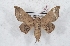  ( - Bc-Her5257)  @11 [ ] Unspecified (default): All Rights Reserved  Unspecified Unspecified