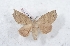  ( - Bc-Her5352)  @11 [ ] Unspecified (default): All Rights Reserved  Unspecified Unspecified