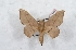  ( - Bc-Her5380)  @11 [ ] Unspecified (default): All Rights Reserved  Unspecified Unspecified