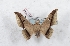  ( - Bc-Her5385)  @12 [ ] Unspecified (default): All Rights Reserved  Unspecified Unspecified